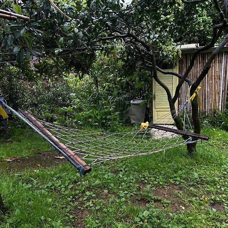 Hostel Eco Chakvi Εξωτερικό φωτογραφία