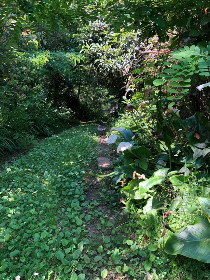 Hostel Eco Chakvi Εξωτερικό φωτογραφία