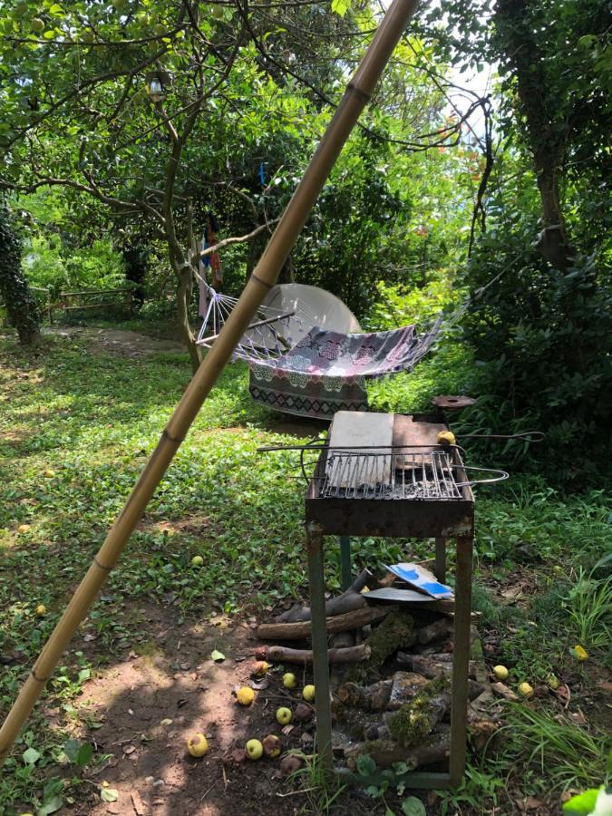 Hostel Eco Chakvi Εξωτερικό φωτογραφία