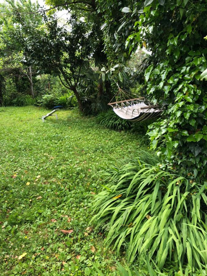 Hostel Eco Chakvi Εξωτερικό φωτογραφία