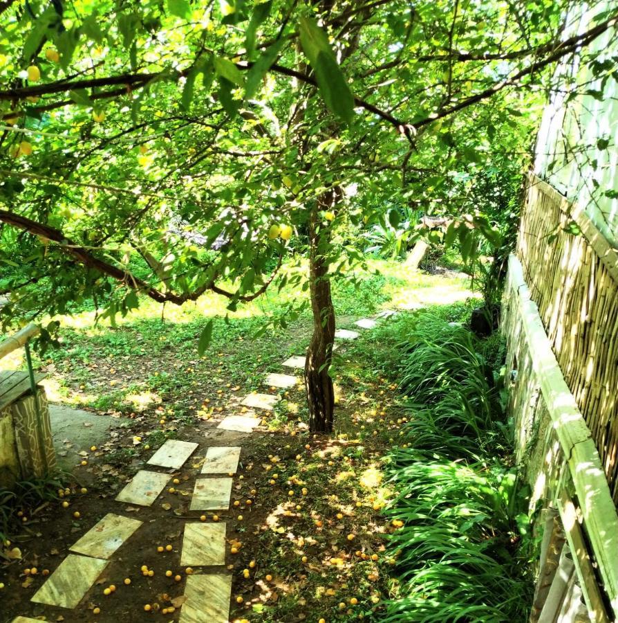 Hostel Eco Chakvi Εξωτερικό φωτογραφία