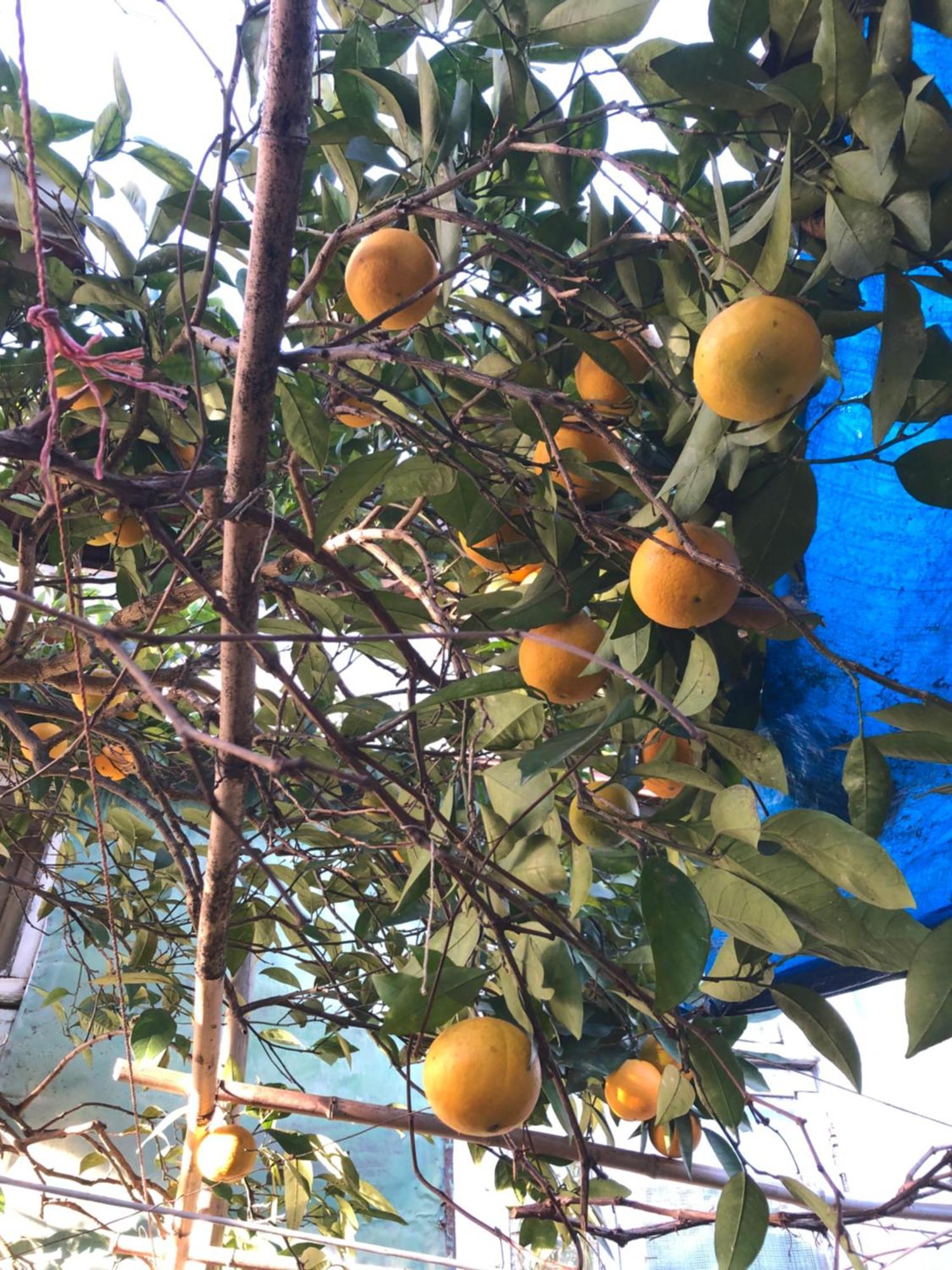 Hostel Eco Chakvi Εξωτερικό φωτογραφία