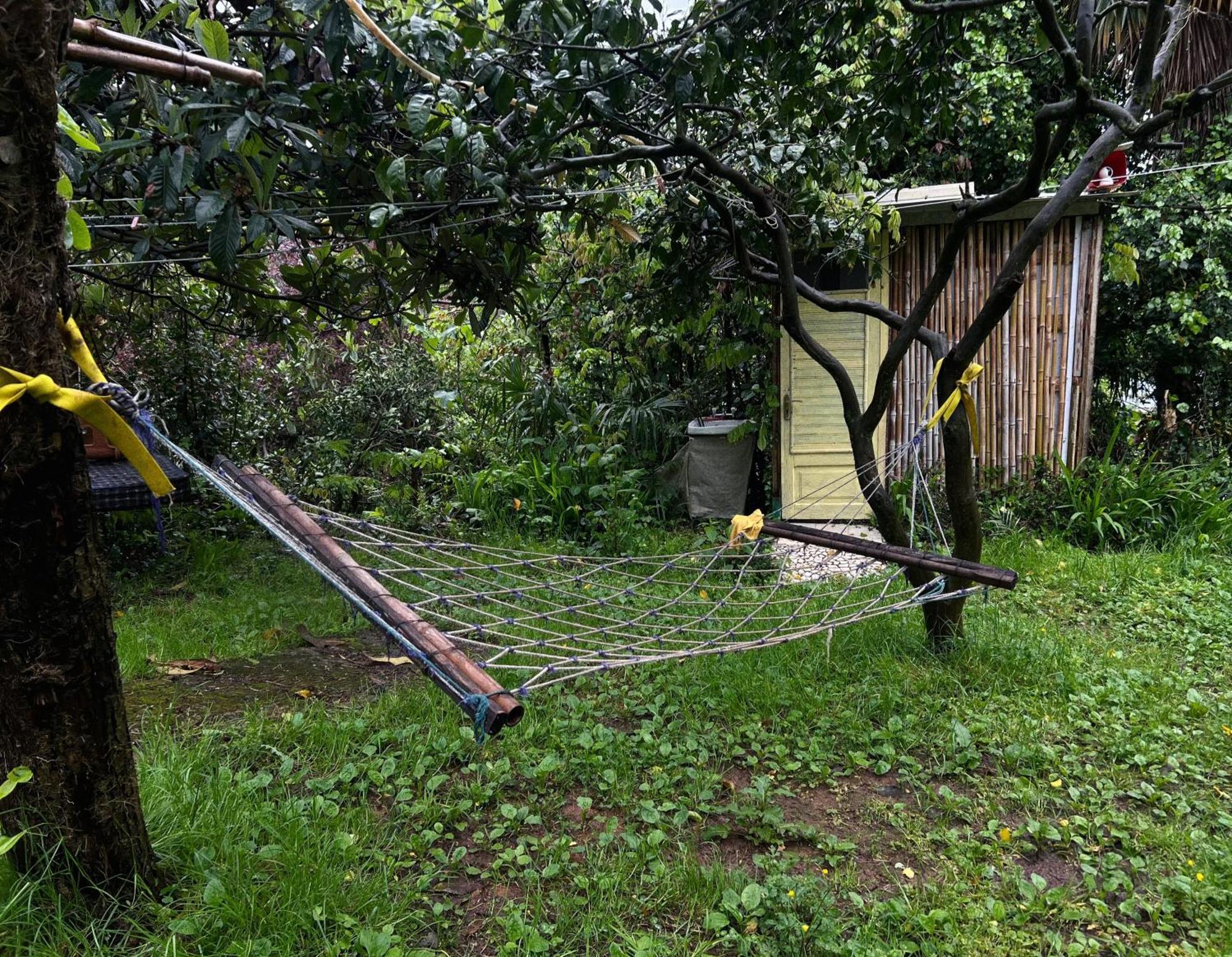 Hostel Eco Chakvi Εξωτερικό φωτογραφία